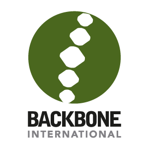 Logo 16. Backbone